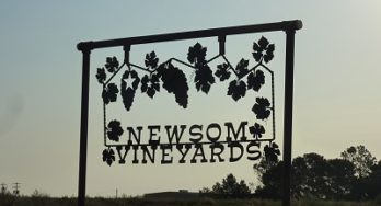 Newsom Vineyards - Sign