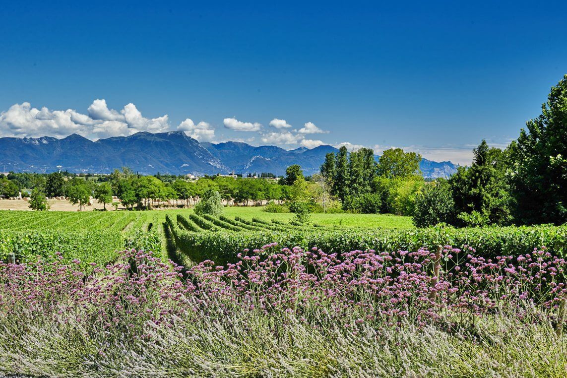 Lombardy region