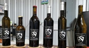 Dotson-Cervantes - wines